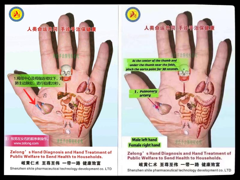 "Thirteen Pushes" by Zelong's Hand treatment Balance overall the viscera