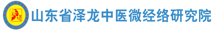 山东省泽龙中医微经络研究院