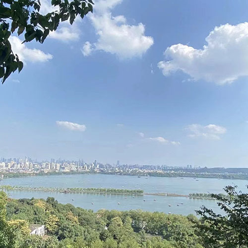 睡眠、心脏早博、脾气都有了很好的改善，但还要记得健康“教训”
