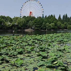 群友分享坚持做十三推改善了自己的过敏性鼻炎和睡眠质量不佳。
