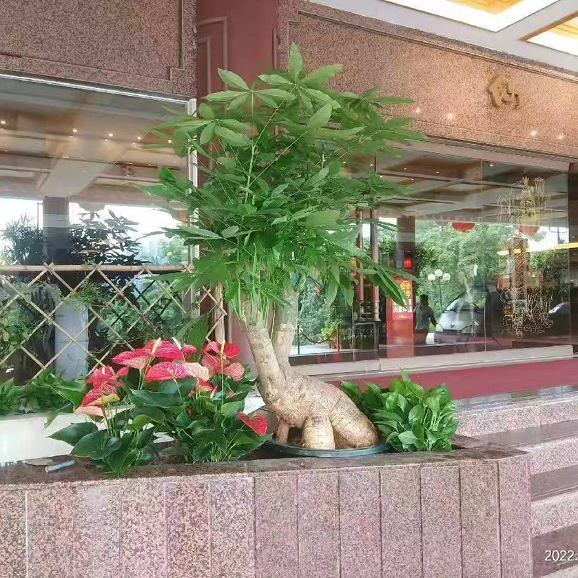十三推坚持做了半个月后手脚冰凉慢慢变暖了，咽炎也消失了，内痔微痛的症状消失。