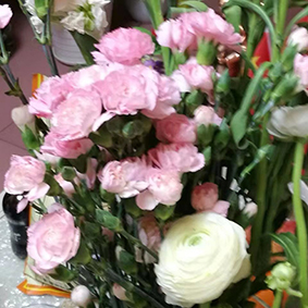 群友分享学做十三推四个月身体受益的体会：改善了手掌肥厚、手指粗短、腰腿疼、疲乏，手指甲变硬了，月牙也多了。
