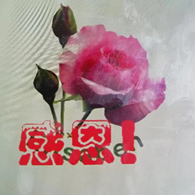 做十三推十天：受益匪浅，发自内心呼吁大家坚持每天做！——老伴儿新冠感染高烧一天一夜，在床上躺了两天，为她做了一次完整的13推，第二天早上就起床做饭了，自己鼻孔不喘气，喉咙干咳痒，只要做正丫倒丫就能解决问题，后背胀痛，做个开背也是行之有效的。