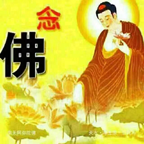 群友感恩分享十三推：免疫力比以前强多了，微感不舒服时，自己能自救调理了，不用一感冒就吃药了。
