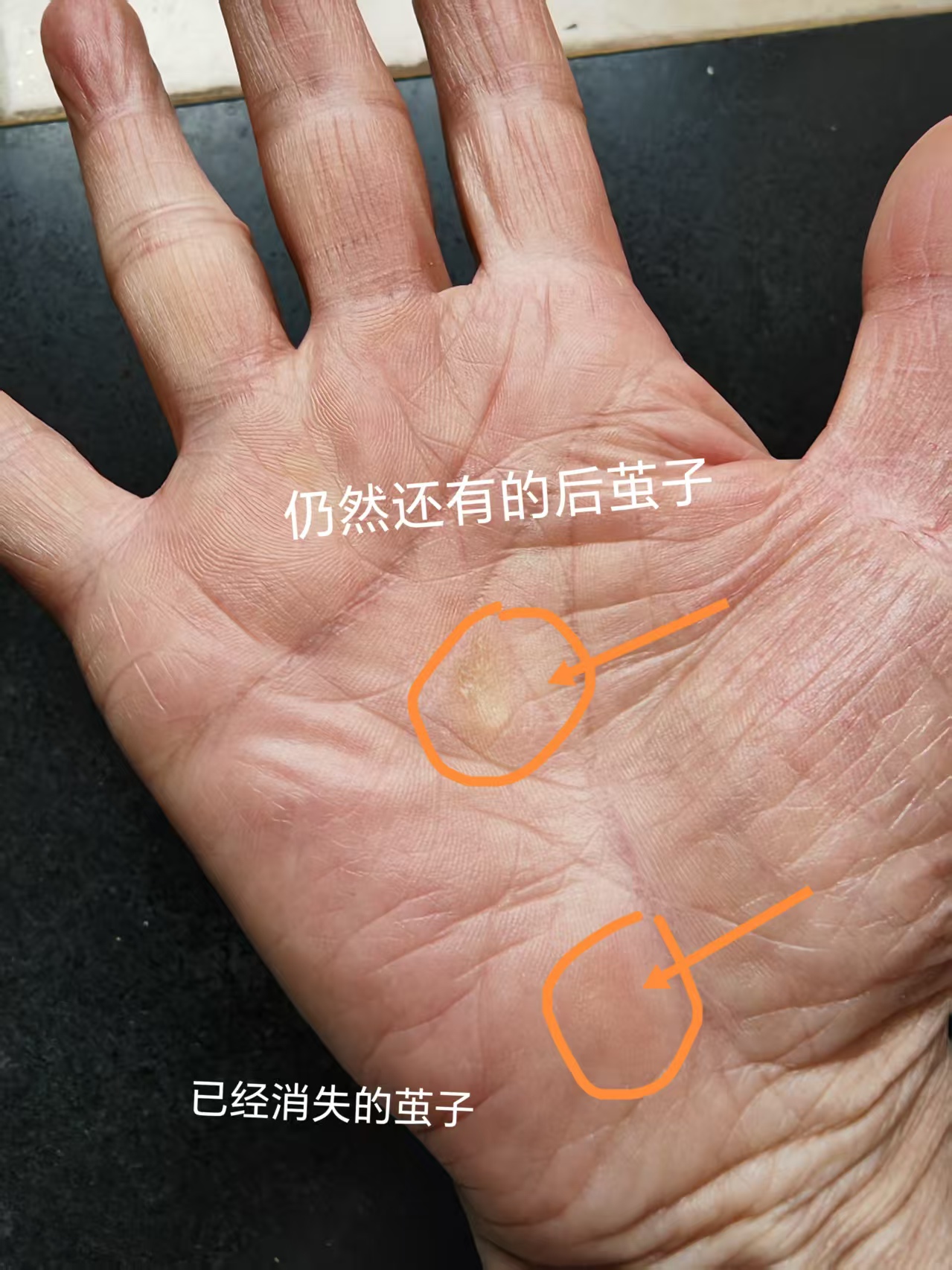 04756c02abad23518cd62d8e0aecb653.jpg