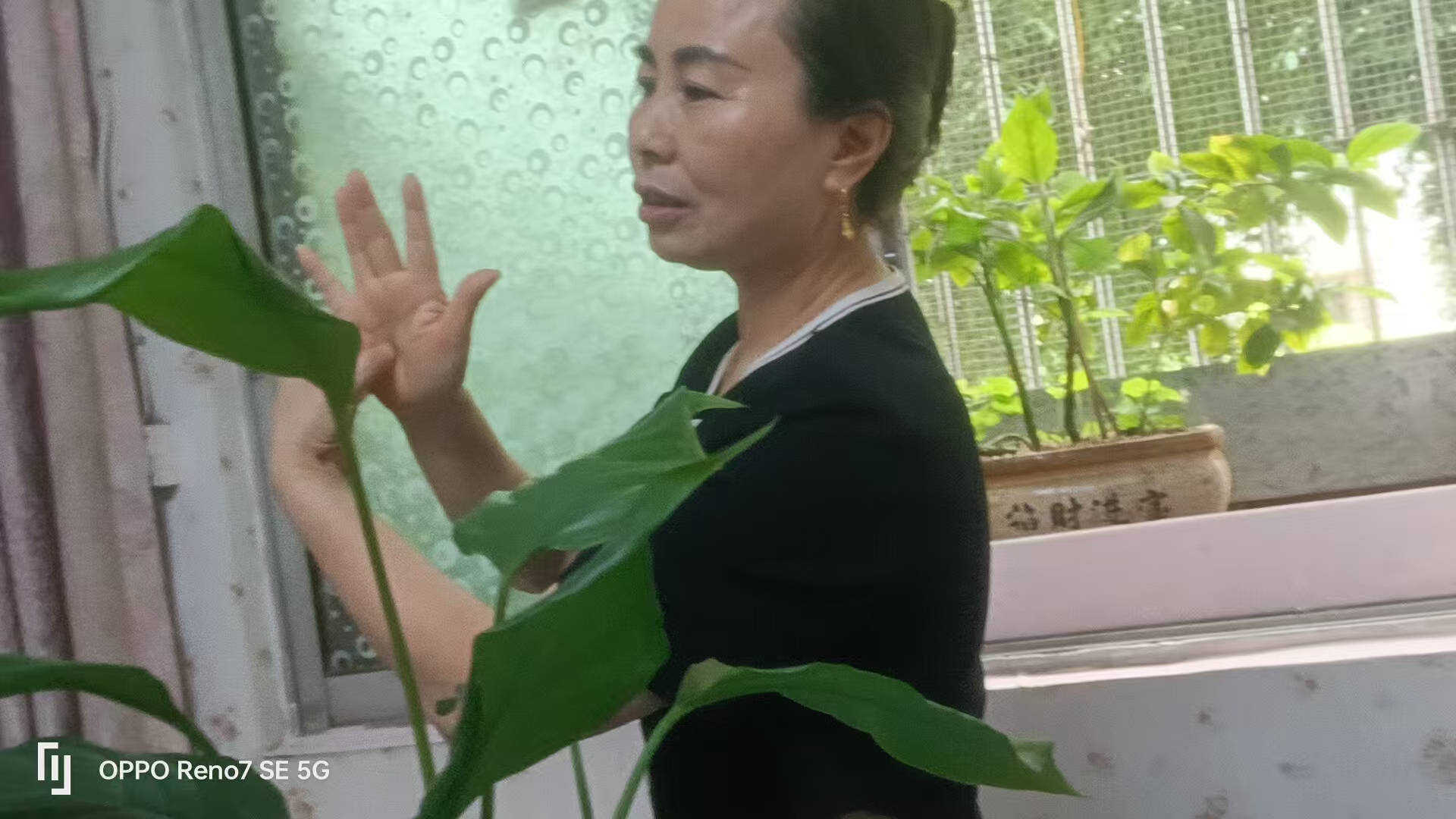 【2025年第 89 期】季珍分享 非遗手诊手治脏腑同调十三推【乐山工作室】线下公益活动