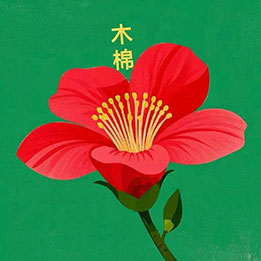 十三推在高原反应中的成效——进藏10天，一推就好，1号肺动脉补氧效果不亚于吸氧